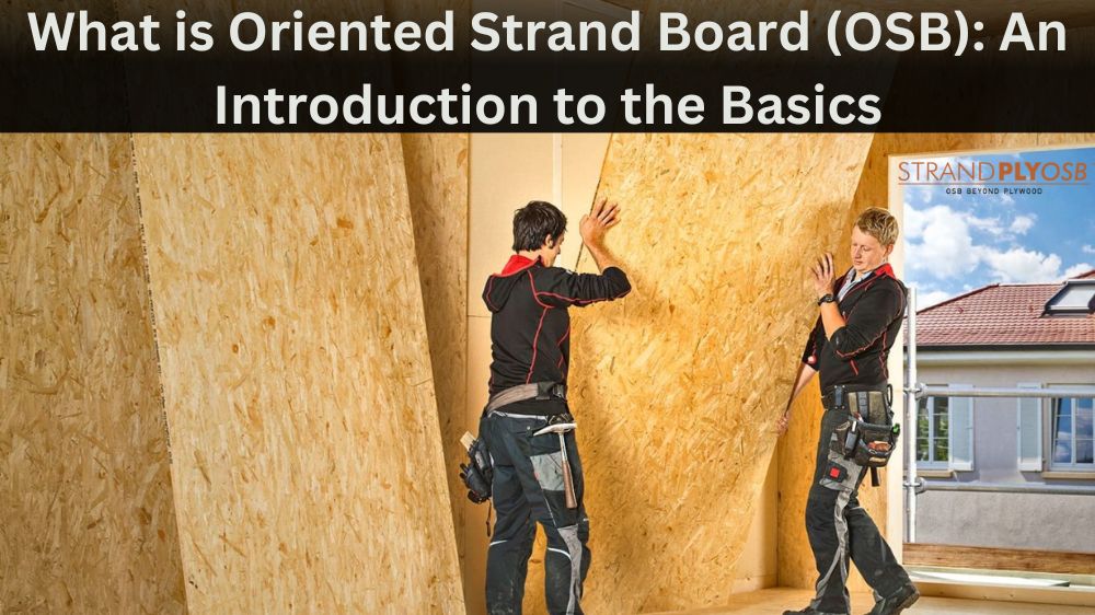 What is Oriented Strand Board (OSB) An Introduction to the Basics